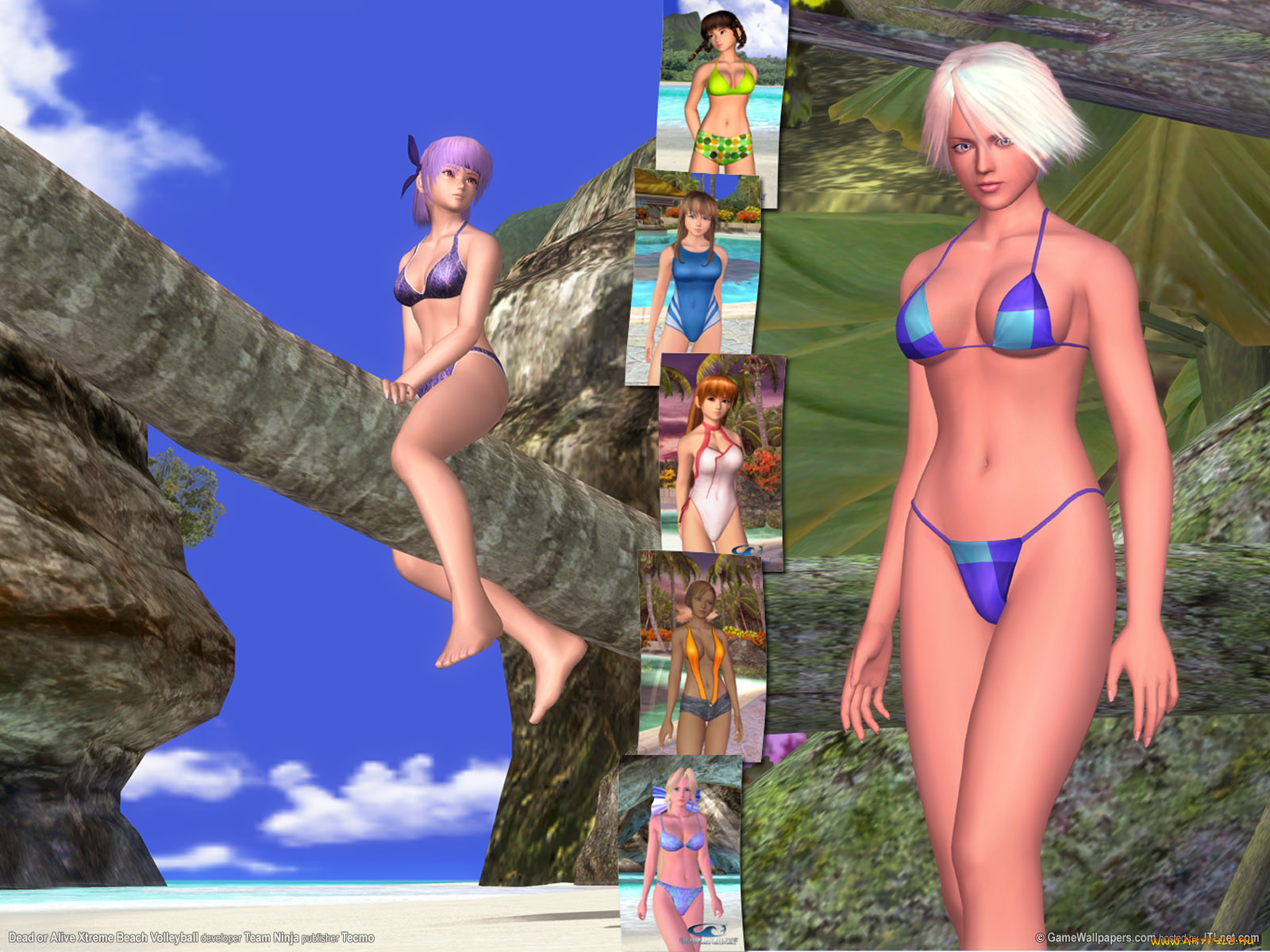 dead, or, alive, xtreme, beach, volleyball, , 